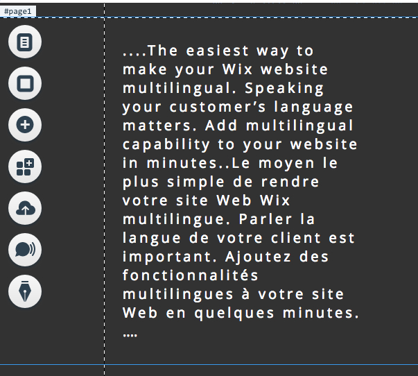 How the Multilingualizer works