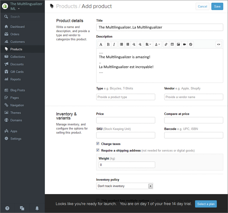 How the Multilingualizer works