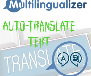 multi-auto-translate-image