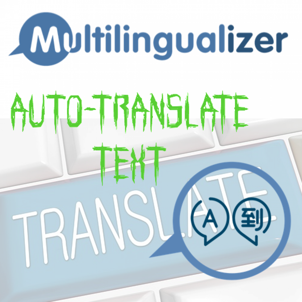 Auto-Translate Text Form Released - Multilingualizer